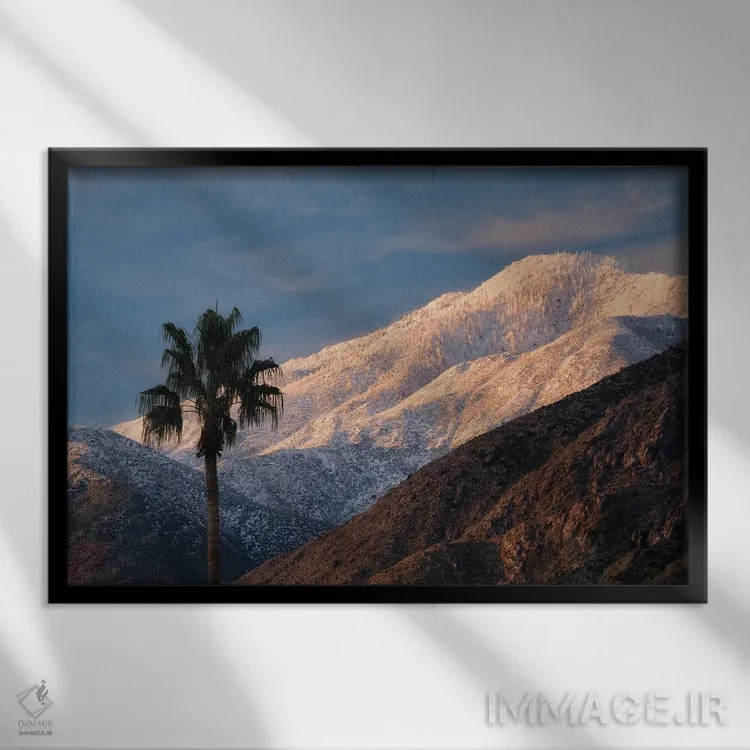 تابلو بارش برف در بیابان نخل V اثر دنیس فراتس - نمای قابدار مشکی