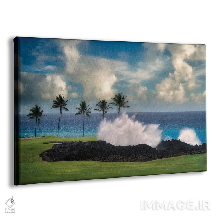 تابلو موج گلف اثر دنیس فراتس - نمای پرسپکتیو محصول