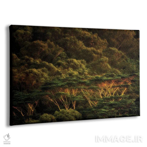 تابلو درختان گرمسیری III اثر دنیس فراتس - نمای پرسپکتیو محصول