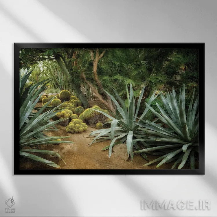 تابلو باغ کاکتوس II (Gaden = Garden, اصلاح شد) اثر دنیس فراتس - نمای قابدار مشکی