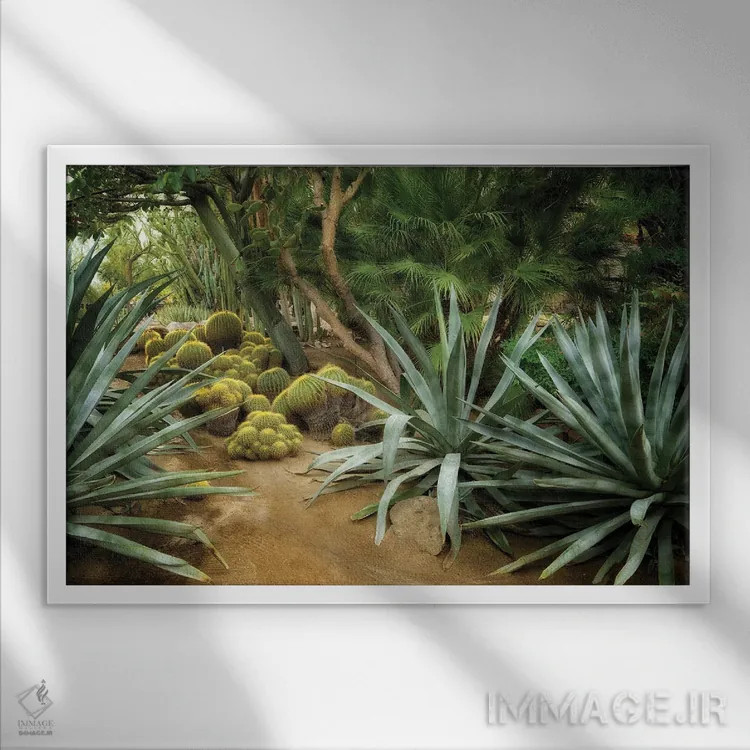 تابلو باغ کاکتوس II (Gaden = Garden, اصلاح شد) اثر دنیس فراتس - نمای قابدار سفید