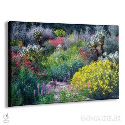 تابلو گلهای وحشی بورگو (منطقه در کالیفرنیا) اثر دنیس فراتس - نمای پرسپکتیو محصول