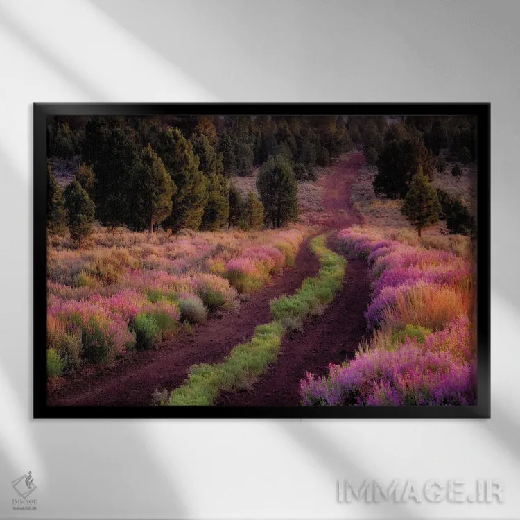 تابلو جاده با حاشیه گل لوپین اثر دنیس فراتس - نمای قابدار مشکی