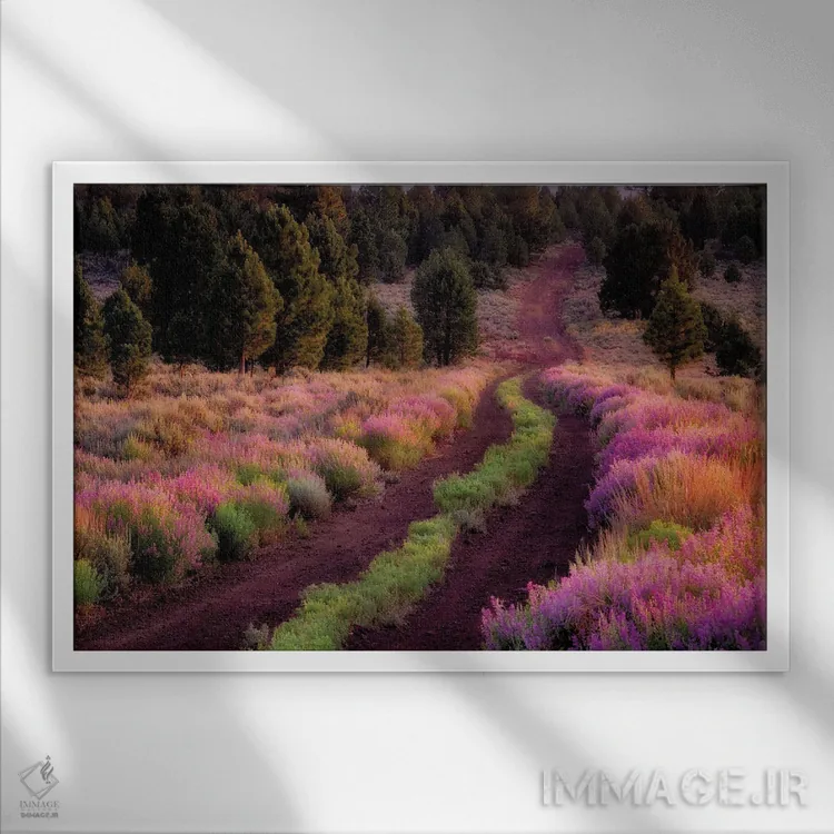 تابلو جاده با حاشیه گل لوپین اثر دنیس فراتس - نمای قابدار سفید