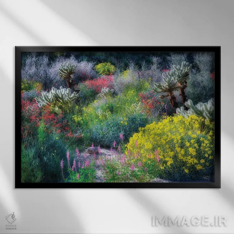 تابلو گلهای وحشی بورگو (منطقه در کالیفرنیا) اثر دنیس فراتس - نمای قابدار مشکی