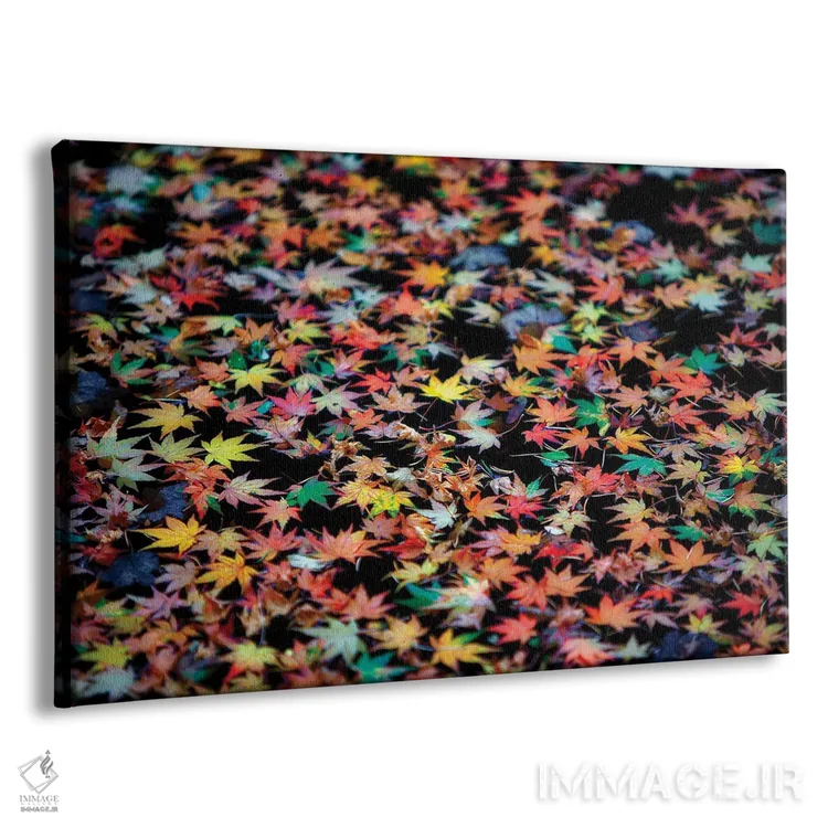 تابلو برگهای افرا در پاییز اثر دنیس فراتس - نمای پرسپکتیو محصول