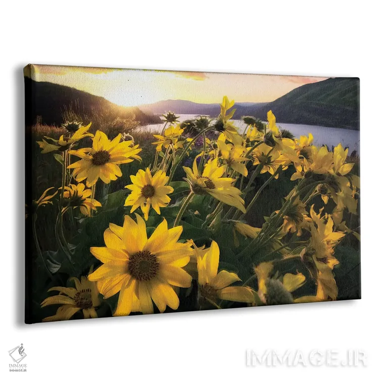 تابلو گیاهان کلمبیا (نام منطقه/رودخانه/کشور) اثر دنیس فراتس - نمای پرسپکتیو محصول