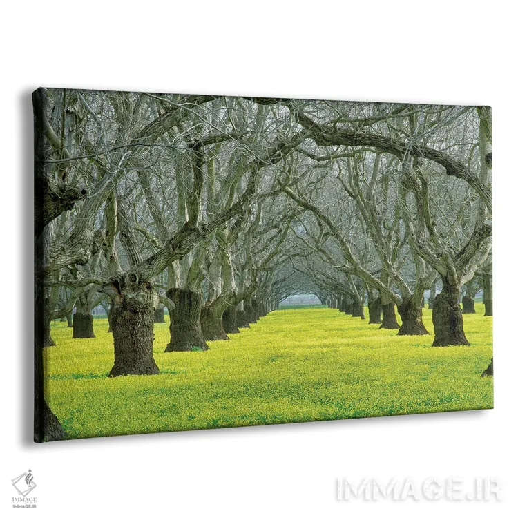 تابلو باغ گردو اثر دنیس فراتس - نمای پرسپکتیو محصول