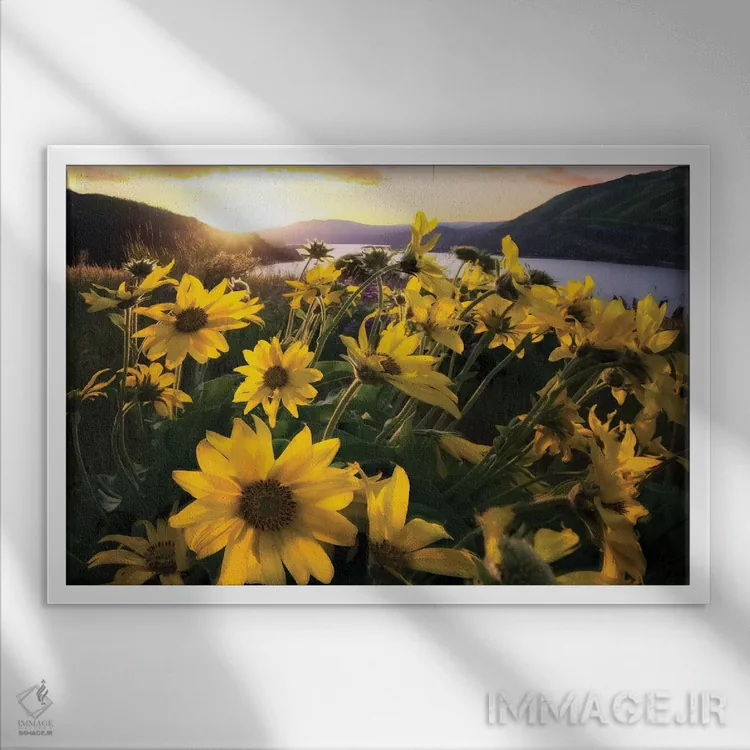 تابلو گیاهان کلمبیا (نام منطقه/رودخانه/کشور) اثر دنیس فراتس - نمای قابدار سفید