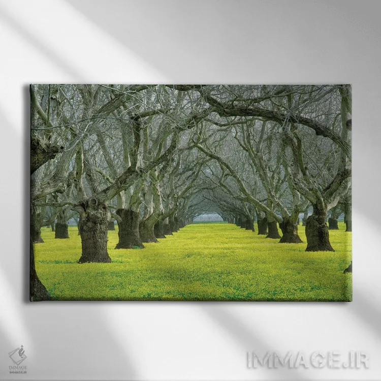 تابلو باغ گردو اثر دنیس فراتس - نمای روبهرو روی دیوار