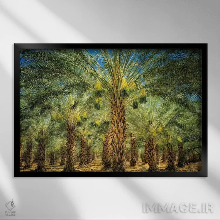 تابلو میوه خرما اثر دنیس فراتس - نمای قابدار مشکی