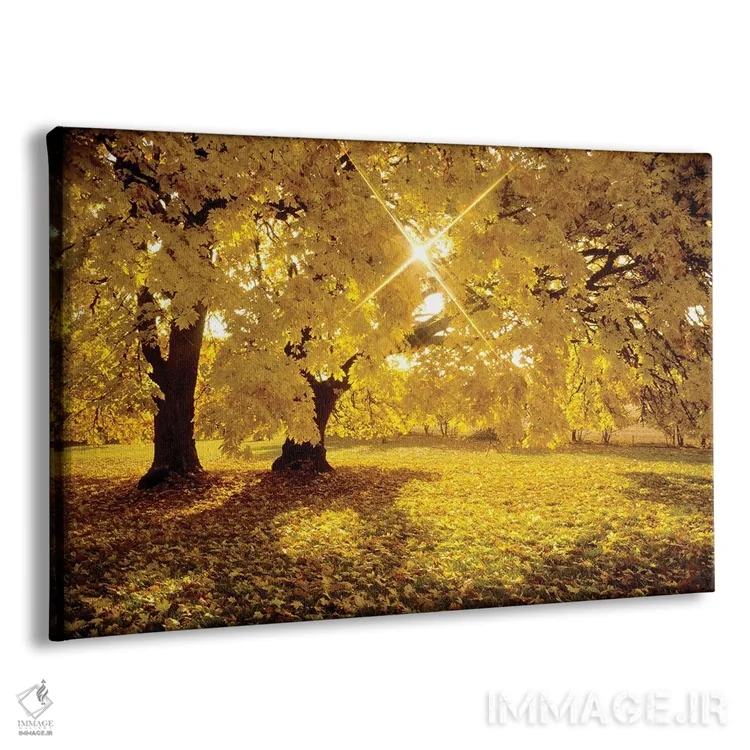 تابلو طلوع افرا اثر دنیس فراتس - نمای پرسپکتیو محصول