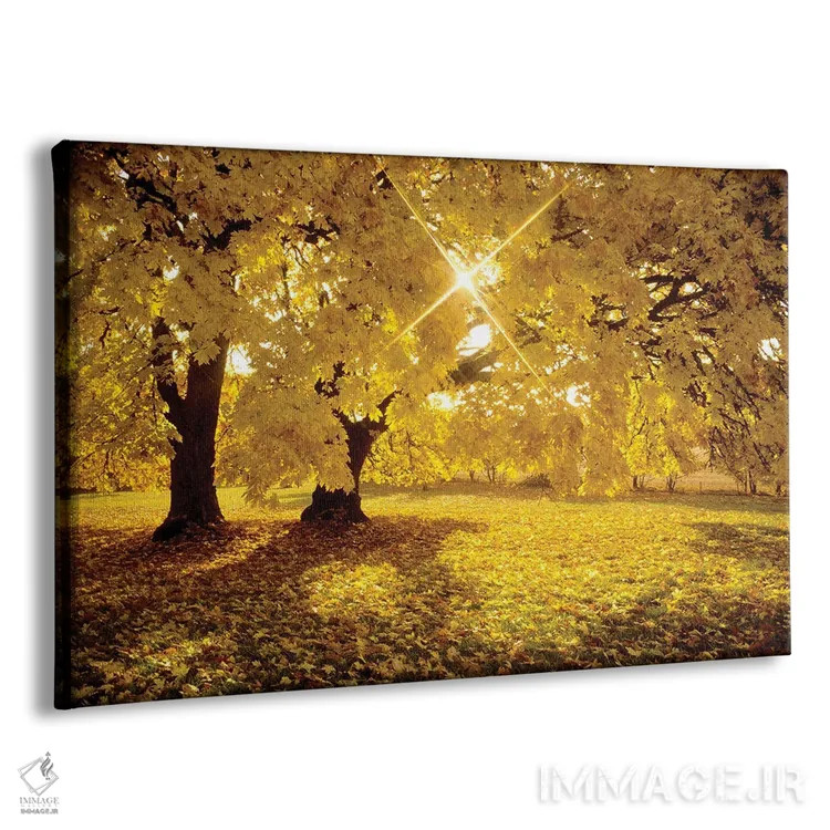 تابلو طلوع افرا اثر دنیس فراتس - نمای پرسپکتیو محصول