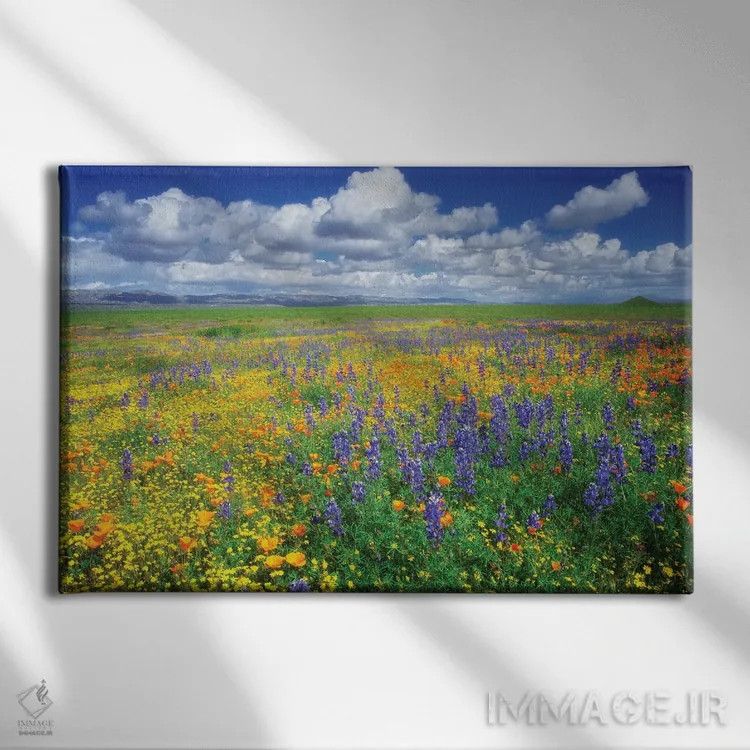تابلو گلهای وحشی کاریزو (نام منطقه) اثر دنیس فراتس - نمای روبهرو روی دیوار