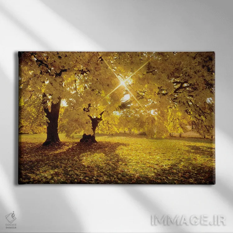 تابلو طلوع افرا اثر دنیس فراتس - نمای روبهرو روی دیوار