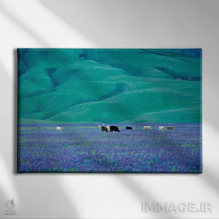 تابلو گاوها در مزرعه لوپین یک اثر دنیس فراتس - نمای روبهرو روی دیوار