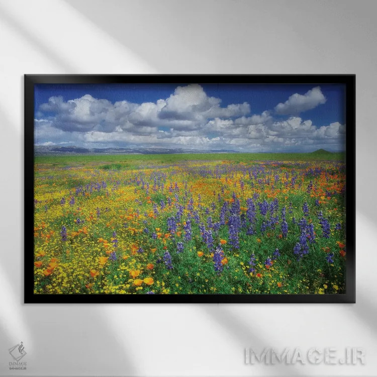 تابلو گلهای وحشی کاریزو (نام منطقه) اثر دنیس فراتس - نمای قابدار مشکی