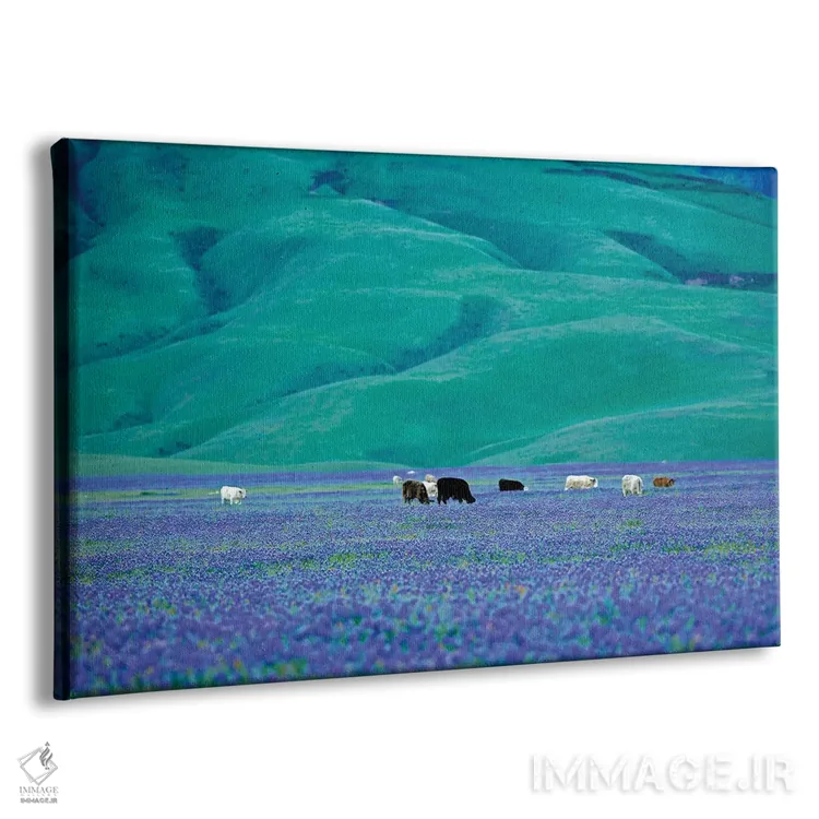 تابلو گاوها در مزرعه لوپین یک اثر دنیس فراتس - نمای پرسپکتیو محصول