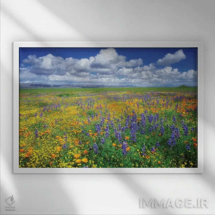 تابلو گلهای وحشی کاریزو (نام منطقه) اثر دنیس فراتس - نمای قابدار سفید