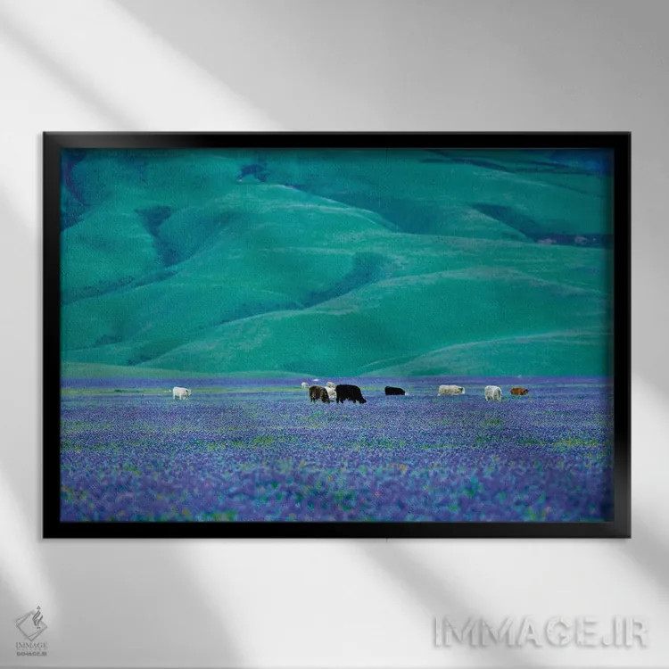 تابلو گاوها در مزرعه لوپین یک اثر دنیس فراتس - نمای قابدار مشکی