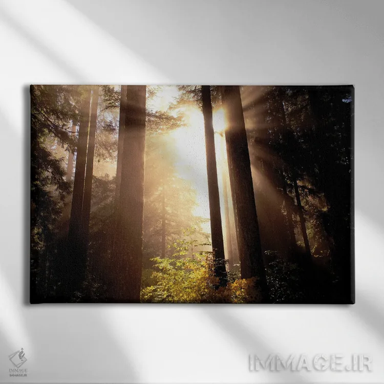 تابلو مه پاییزی دو اثر دنیس فراتس - نمای روبهرو روی دیوار