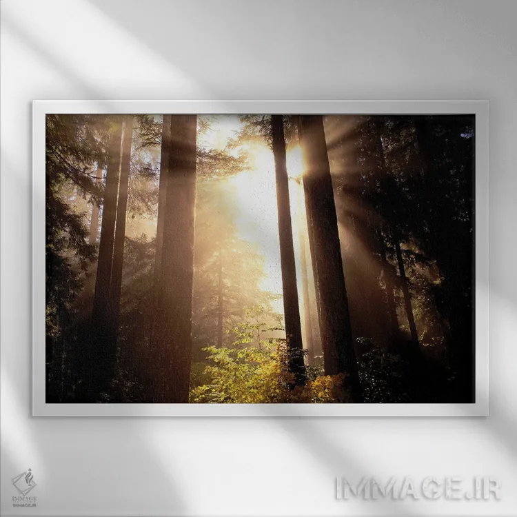 تابلو مه پاییزی دو اثر دنیس فراتس - نمای قابدار سفید