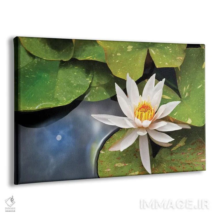 تابلو انعکاس نیلوفر و خورشید اثر دنیس فراتس - نمای پرسپکتیو محصول