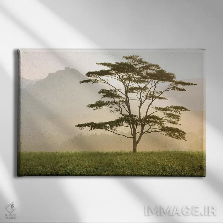 تابلو درخت گرمسیری صبح زود اثر دنیس فراتس - نمای روبهرو روی دیوار