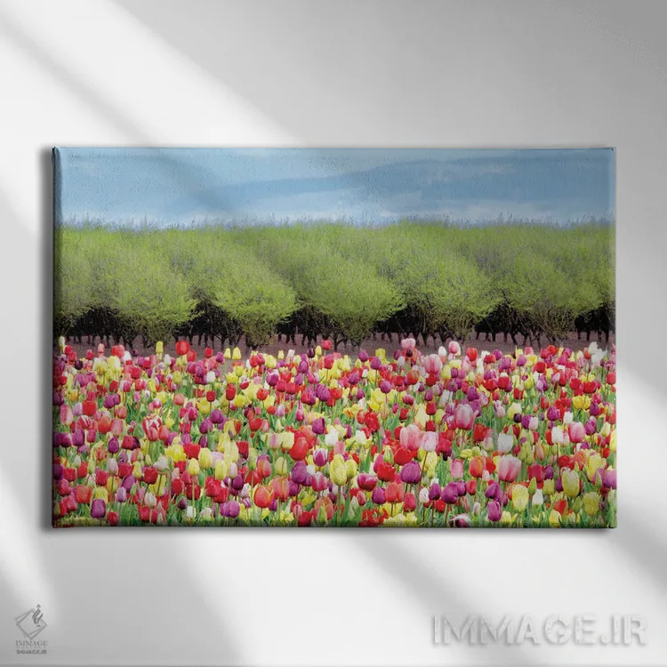 تابلو مزرعه لالهها اثر دنیس فراتس - نمای روبهرو روی دیوار