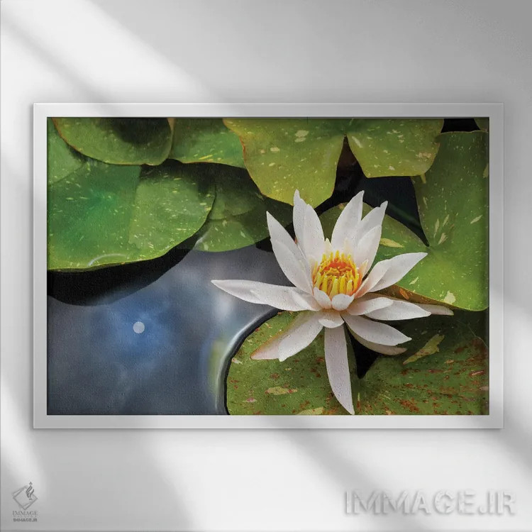 تابلو انعکاس نیلوفر و خورشید اثر دنیس فراتس - نمای قابدار سفید