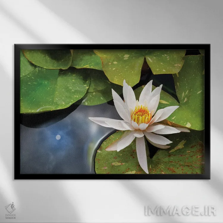 تابلو انعکاس نیلوفر و خورشید اثر دنیس فراتس - نمای قابدار مشکی