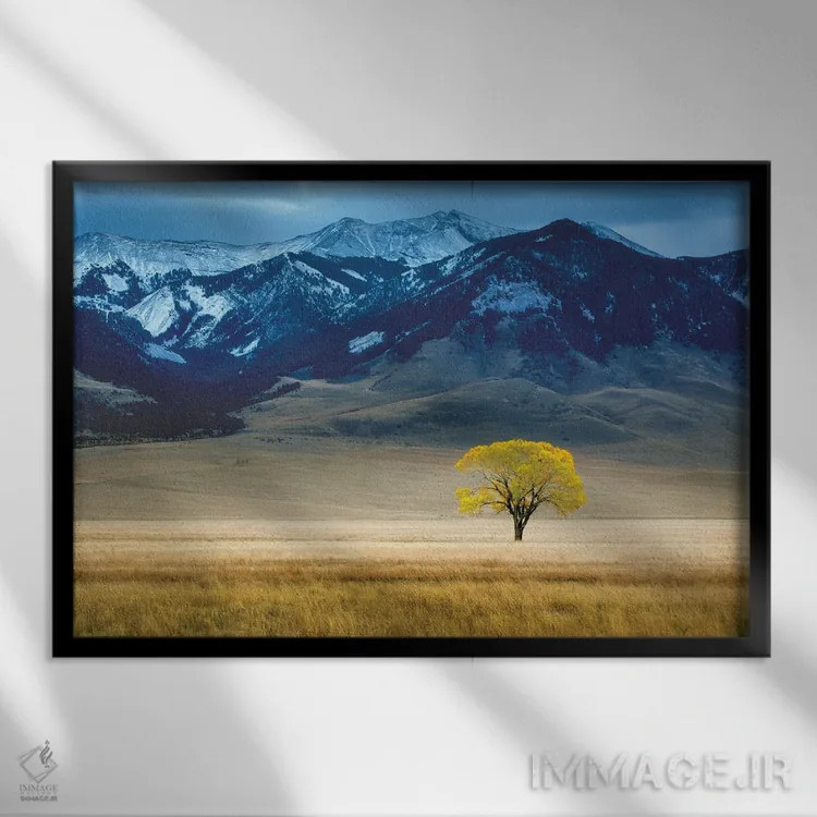 تابلو درخت تنها در پاییز اثر دنیس فراتس - نمای قابدار مشکی
