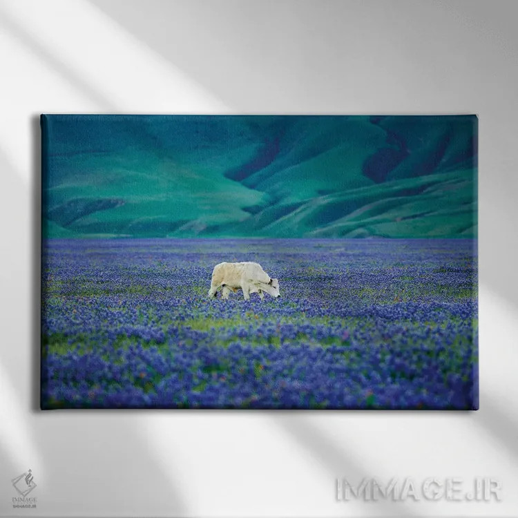 تابلو گاوها در مزرعه لوپین دو اثر دنیس فراتس - نمای روبهرو روی دیوار