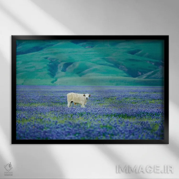 تابلو گاوها در مزرعه لوپین سه اثر دنیس فراتس - نمای قابدار مشکی