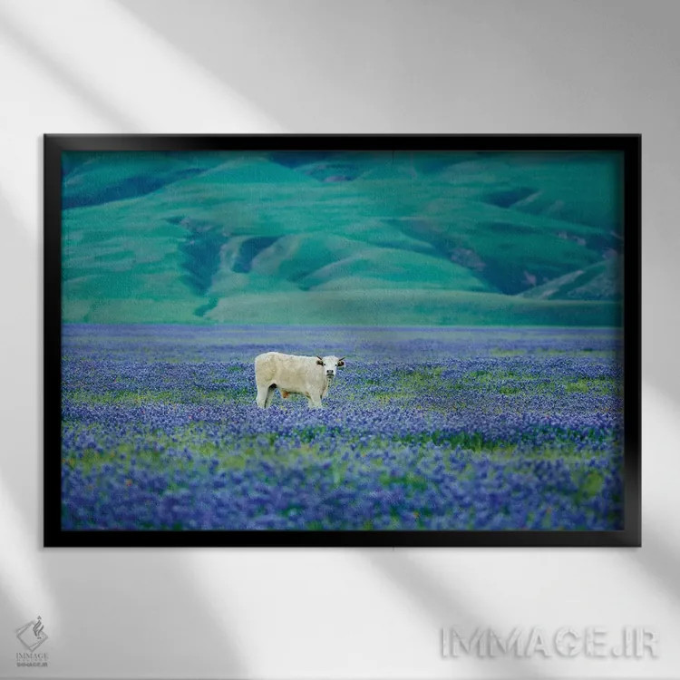 تابلو گاوها در مزرعه لوپین سه اثر دنیس فراتس - نمای قابدار مشکی