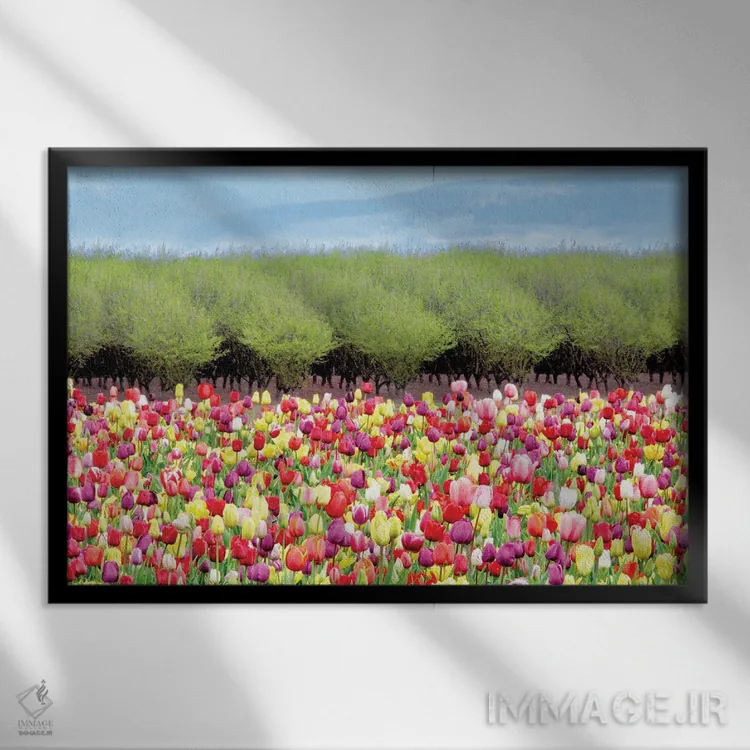 تابلو مزرعه لالهها اثر دنیس فراتس - نمای قابدار مشکی