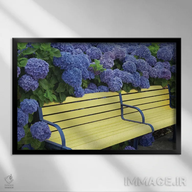 تابلو نیمکت گل ادریسی اثر دنیس فراتس - نمای قابدار مشکی