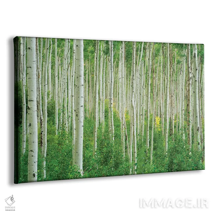 تابلو درخت تنها در پاییز اثر دنیس فراتس - نمای پرسپکتیو محصول