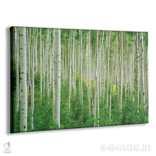 تابلو درخت تنها در پاییز اثر دنیس فراتس - نمای پرسپکتیو محصول