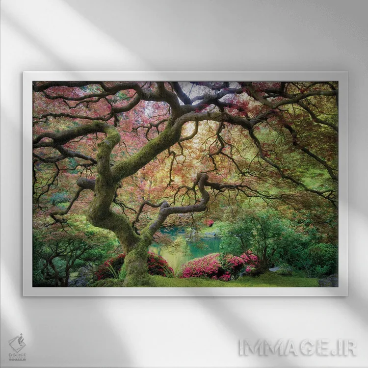 تابلو افرا پیچخورده اثر دنیس فراتس - نمای قابدار سفید