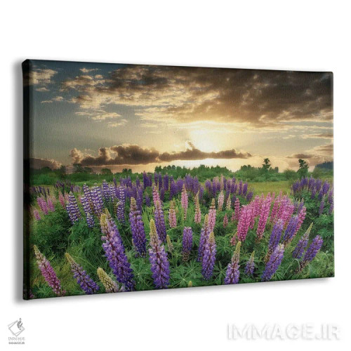 تابلو طلوع لوپین اثر دنیس فراتس - نمای پرسپکتیو محصول