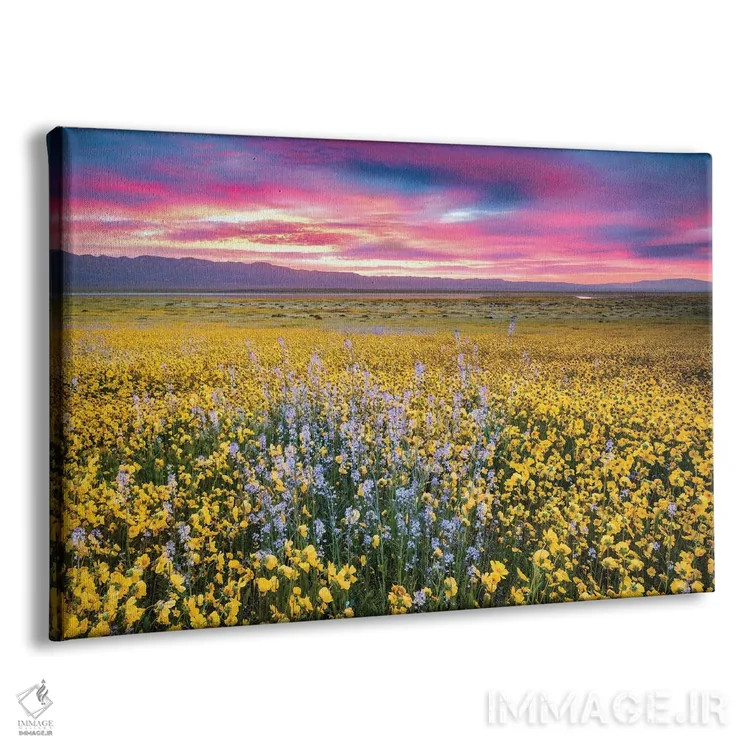 تابلو گلهای وحشی وسیع اثر دنیس فراتس - نمای پرسپکتیو محصول