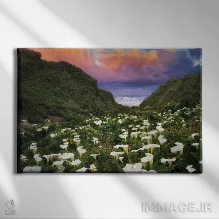 تابلو طلوع گل کالا لیلی اثر دنیس فراتس - نمای روبهرو روی دیوار