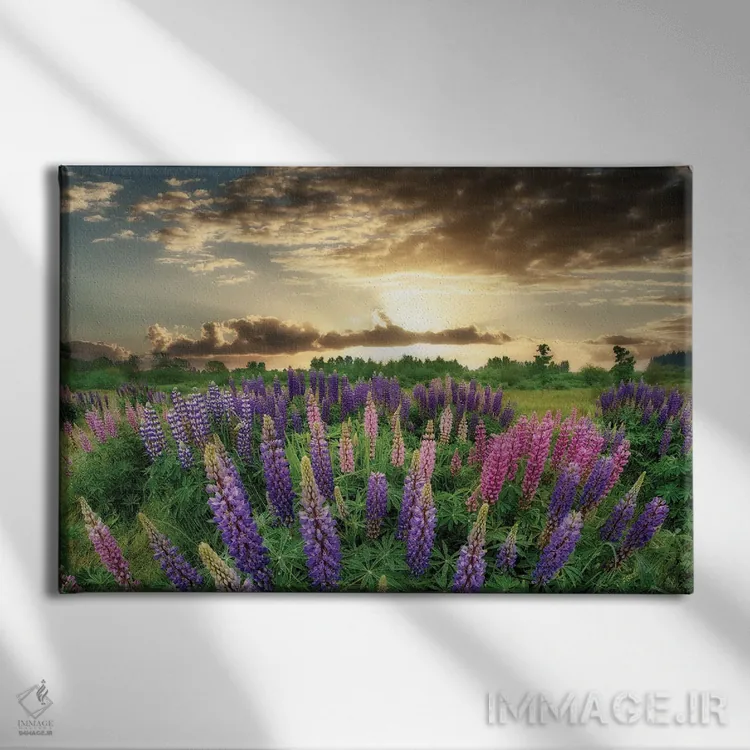 تابلو طلوع لوپین اثر دنیس فراتس - نمای روبهرو روی دیوار
