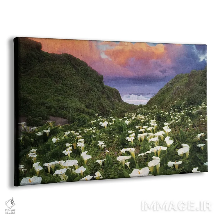 تابلو طلوع گل کالا لیلی اثر دنیس فراتس - نمای پرسپکتیو محصول