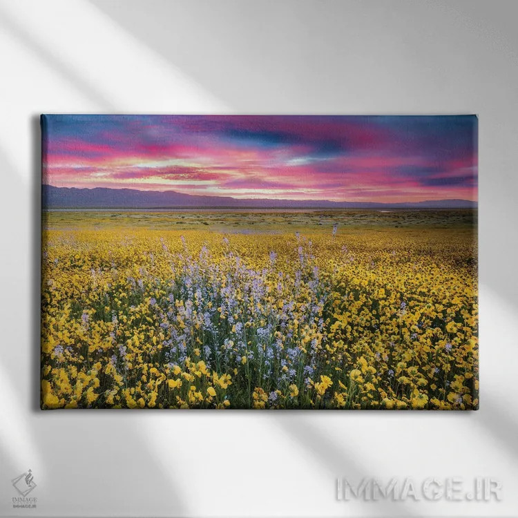 تابلو گلهای وحشی وسیع اثر دنیس فراتس - نمای روبهرو روی دیوار