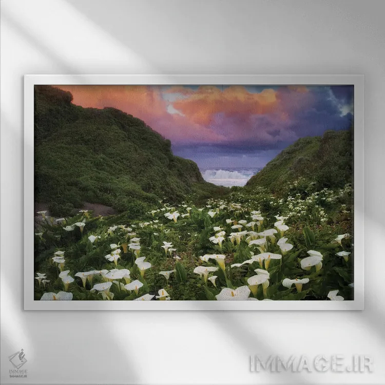 تابلو طلوع گل کالا لیلی اثر دنیس فراتس - نمای قابدار سفید