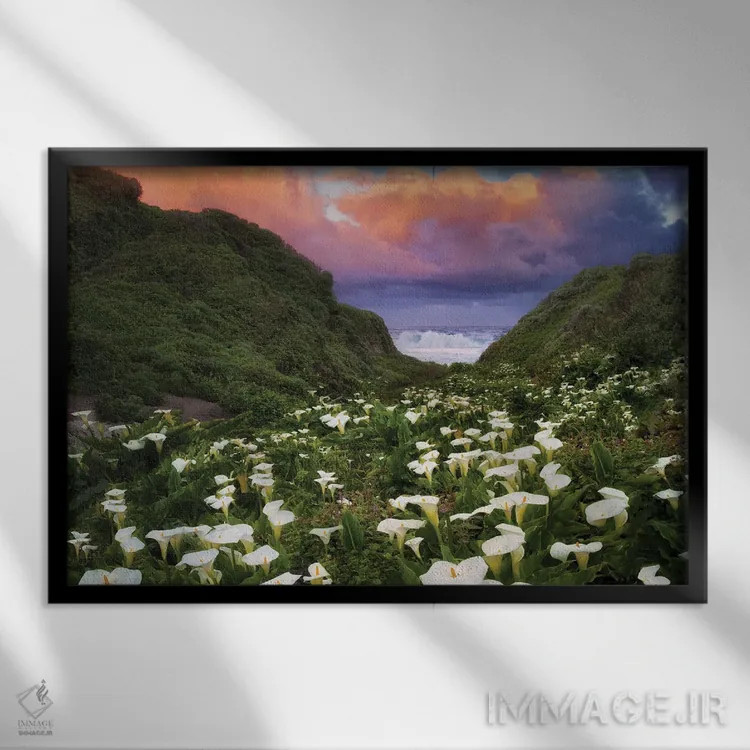 تابلو طلوع گل کالا لیلی اثر دنیس فراتس - نمای قابدار مشکی