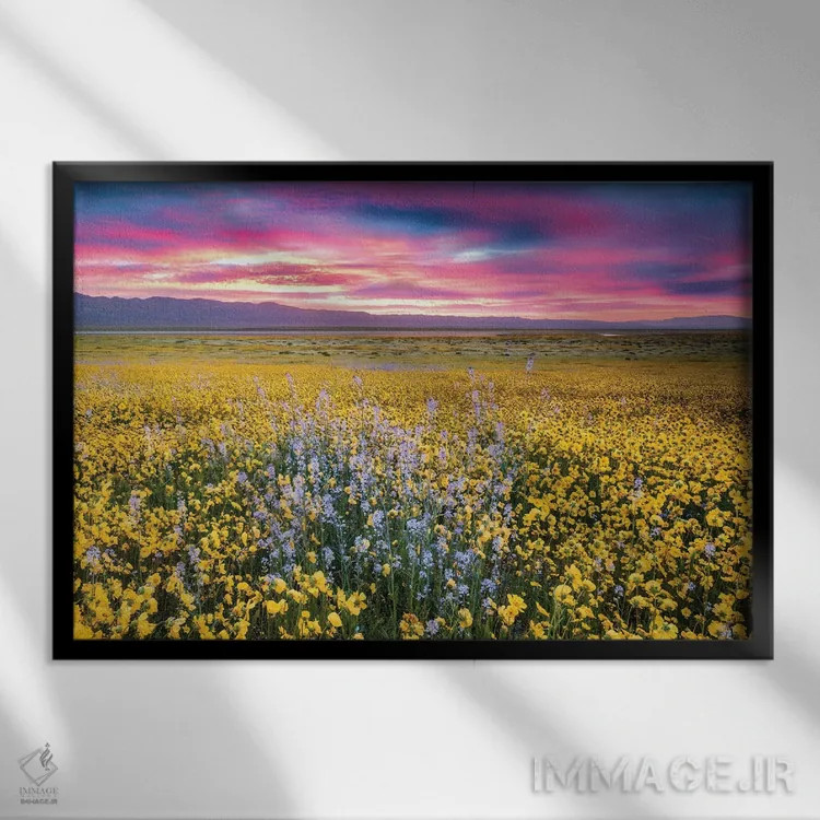 تابلو گلهای وحشی وسیع اثر دنیس فراتس - نمای قابدار مشکی