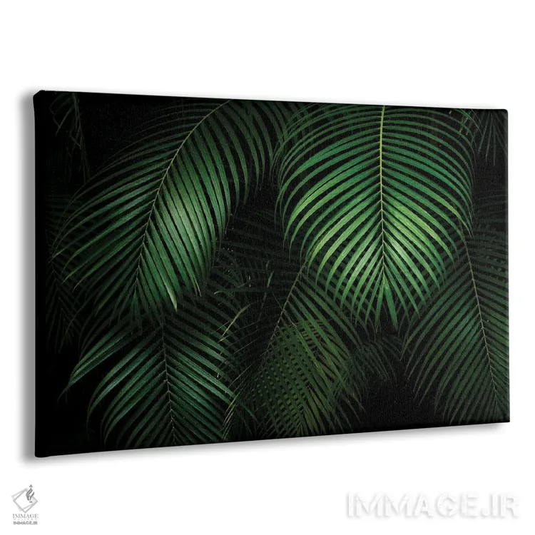 تابلو برگهای نخل اثر دنیس فراتس - نمای پرسپکتیو محصول